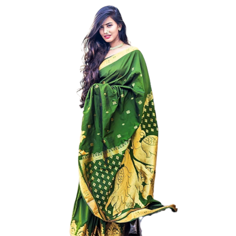 Indian Girl In Saree HD PNG Images Download