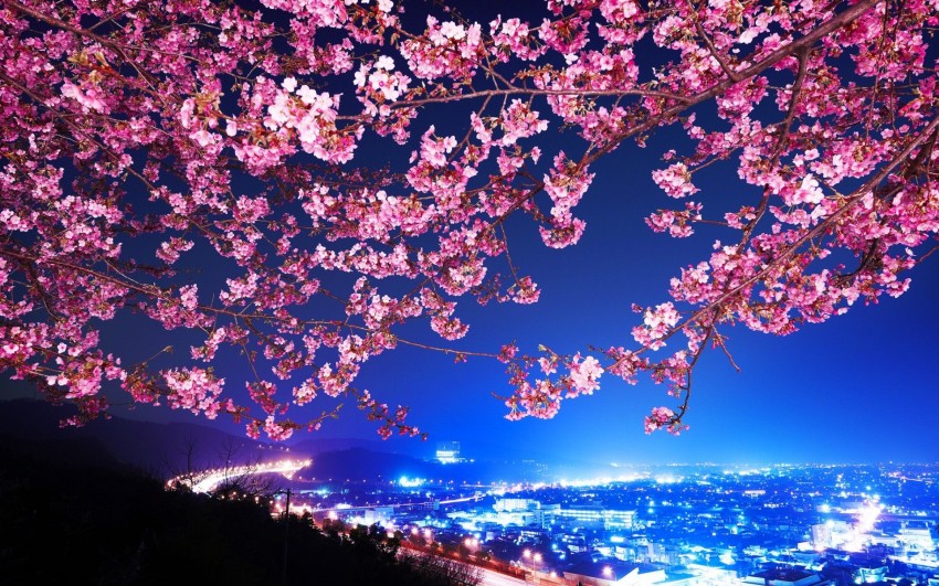 Japan Anime Tree Background HD Download