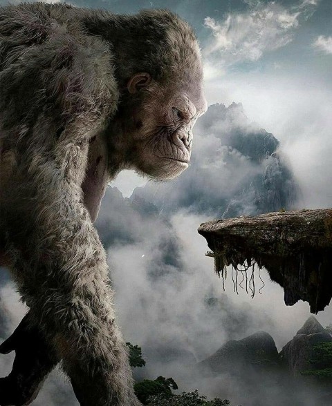 Kingkong CB Editing Background