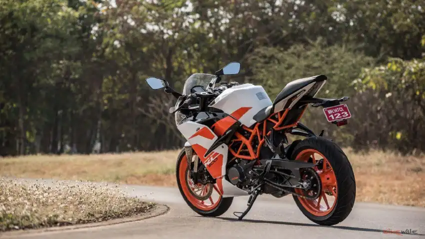 KTM Bike Back View Background HD Download Free