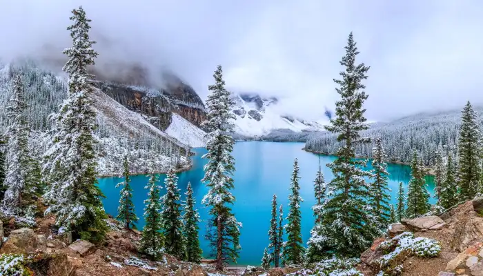 Lake Blue Winter Forest Background HD Wallpapers