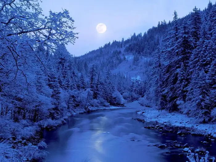 Lake Moon In Sky Winter Forest Background HD Wallpaper Free