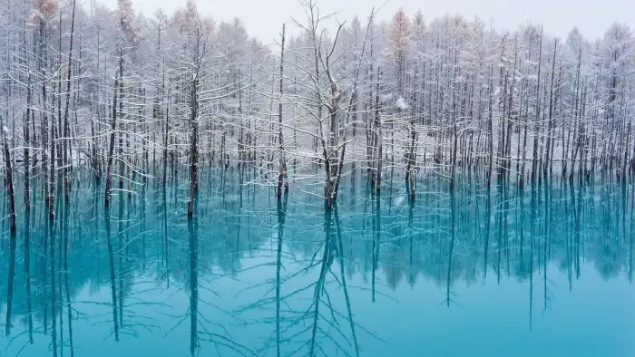 Lake Winter Forest Background HD Photos Free