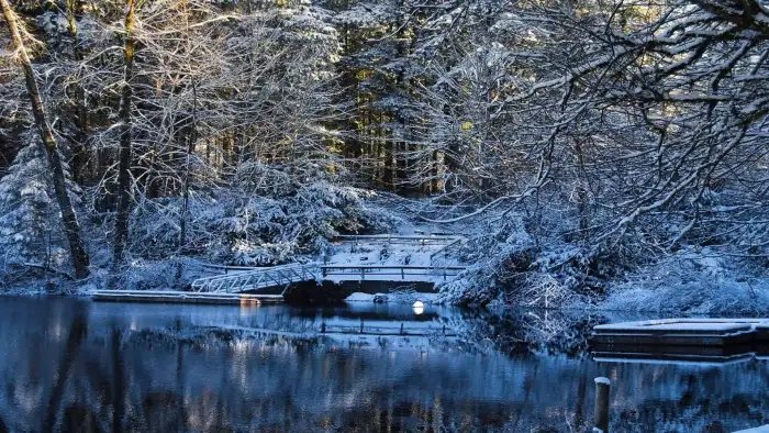 Lake Winter Forest Background HD Photos Free