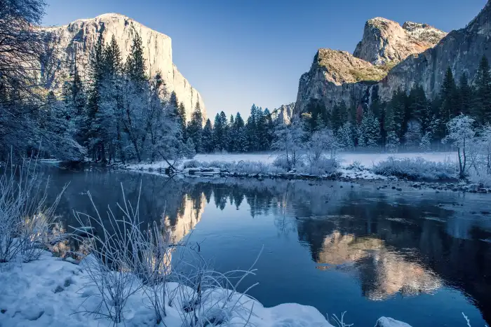 Lake Winter Forest Background HD Wallpapers Free