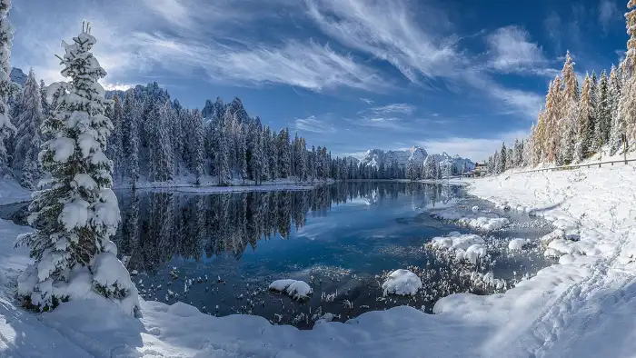 Lake Winter Forest Background HD Wallpapers Free