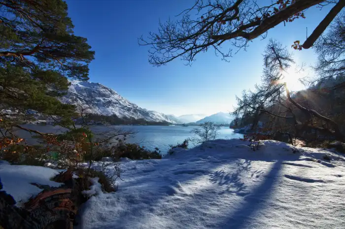 Lake Winter Forest Sky Nature Background HD Wallpapers