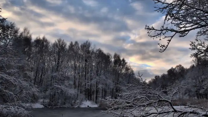 Lake Winter Forest Sky Nature Background HD Wallpapers