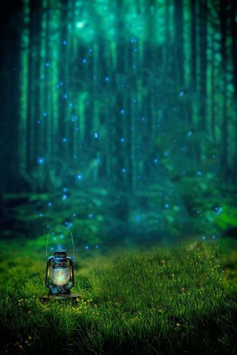 Lalten Forest New CB Background HD