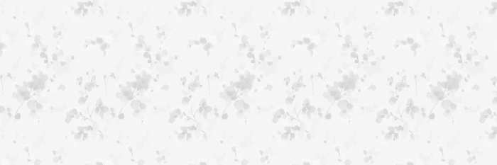 Latest Wedding White Flower Album Background Free