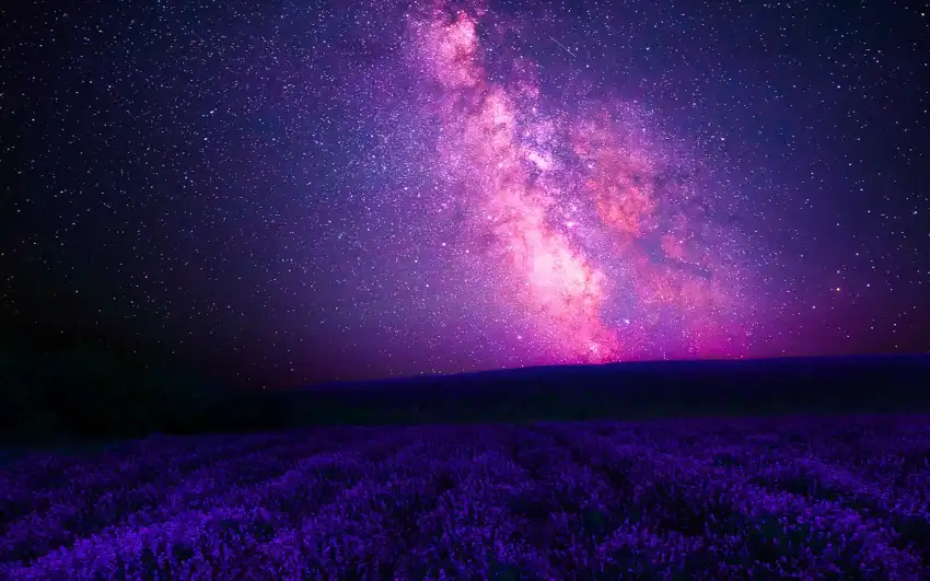 Lavender Field Background Full HD Images Download