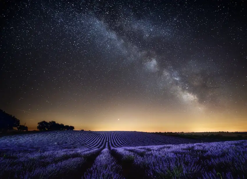 Lavender Field Background Image Photo HD Download= Free