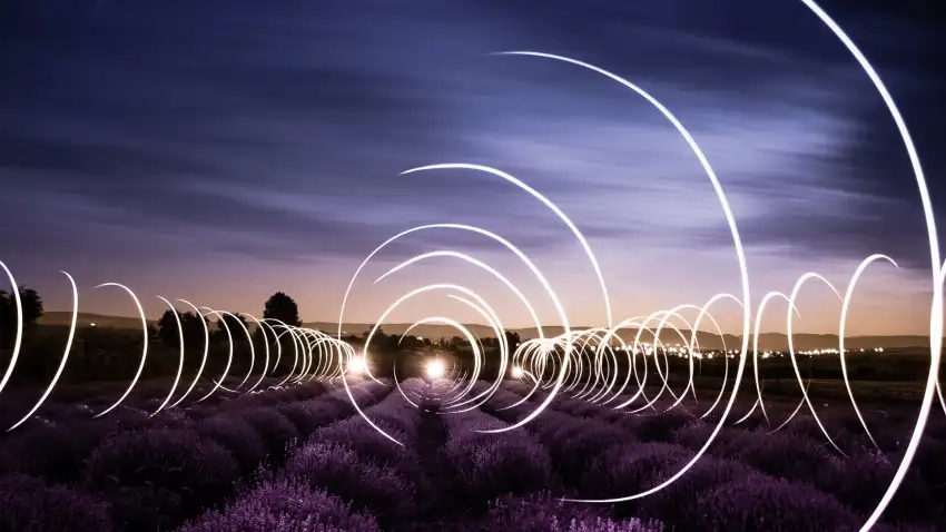 Lavender Field Background Image Photo HD Download= Free