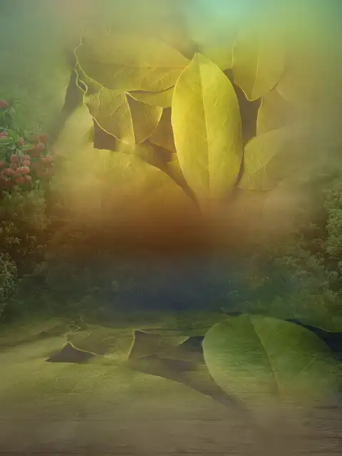 Leaf Portrait Studio Background HD Download