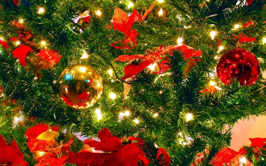 Light Christmas Tree Background HD Download