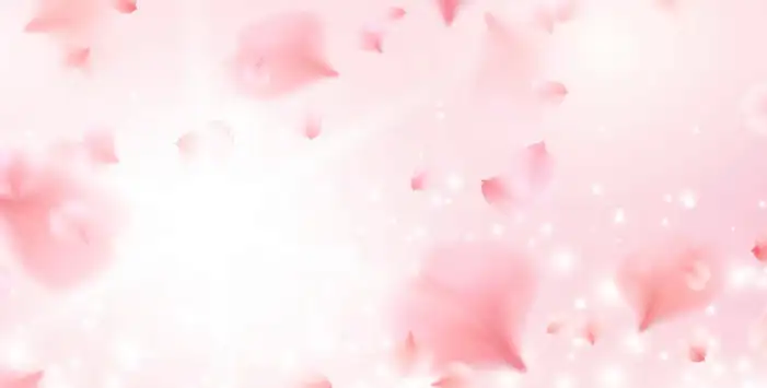 Light Pink Glitter Light Background HD Images