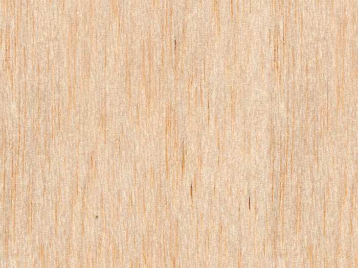 Light Wood Plain Texture Background Free Wallpaper Image