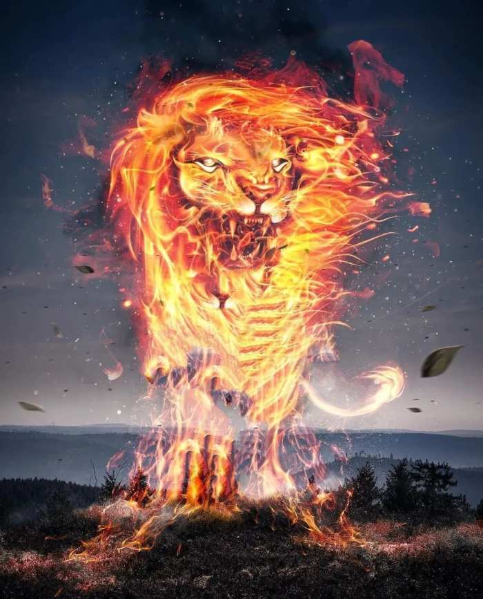 Lion Fire Face CB Editing Background HD