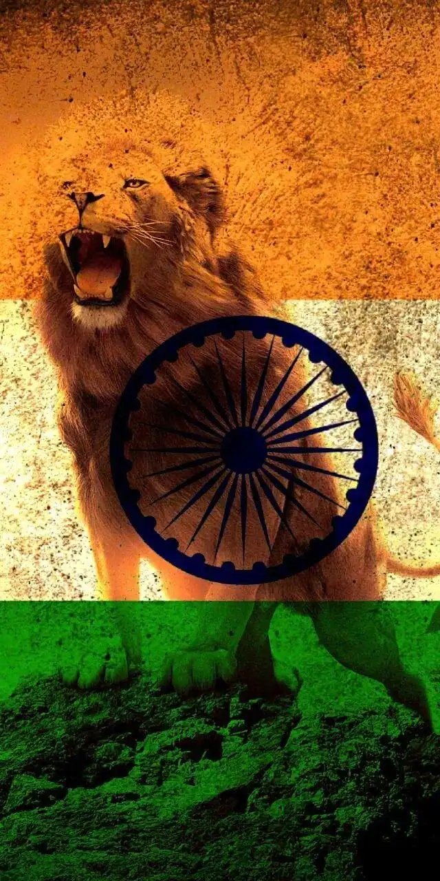 Lion India Flag Phone iPhone Mobile Background HD Images 