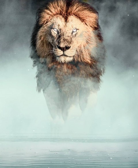 Lion New Editing CB Background