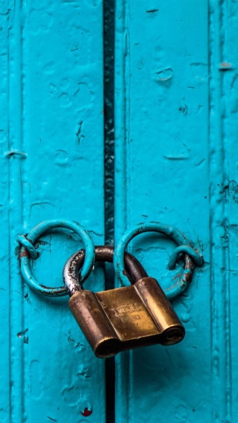 Lock Door HD Background Wallpaper Pic