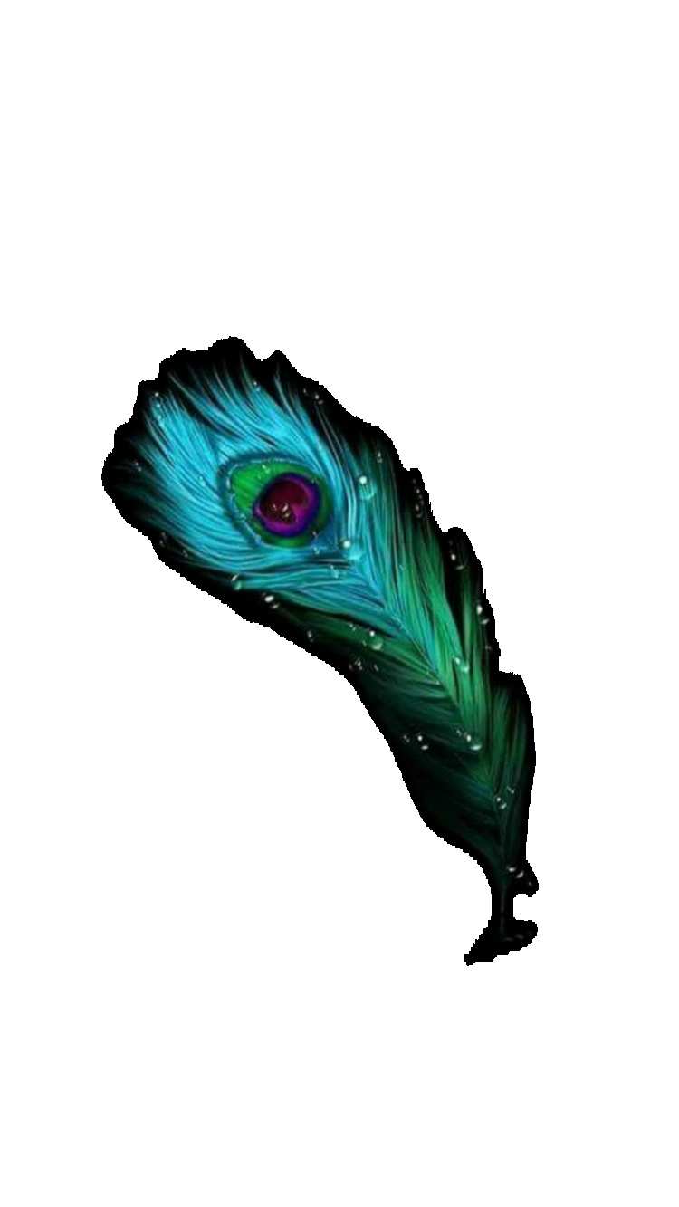 Lord Krishna Feather PNG Images Free Download