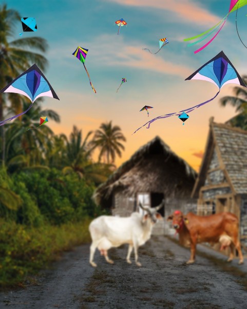 Makar Sankranti Editing Background Download