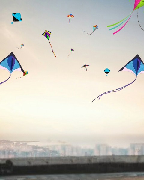 Makar Sankranti Editing Background  With Kite