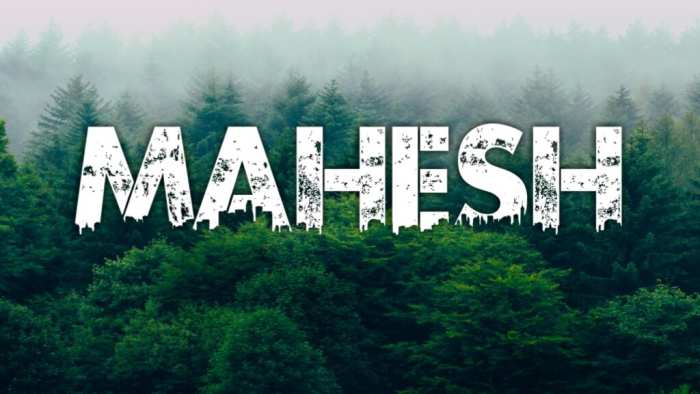 Manhesh Urban Jungle Background Free HD Images