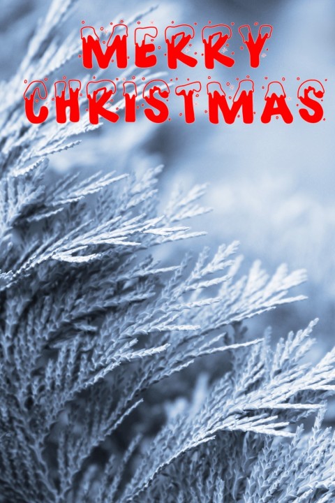 Merry Christmas CB PicsArt Background