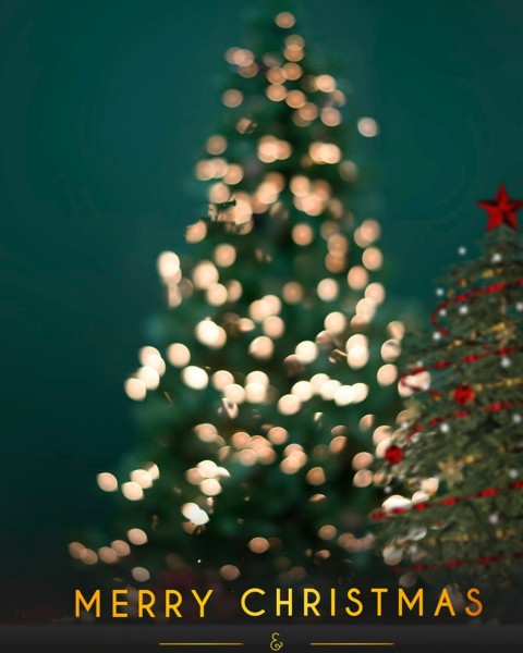 Merry Christmas Photo Editing Full HD Background