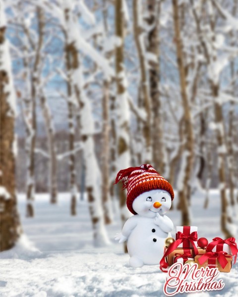 Merry Christmas Snow Photo Editing Full HD Background