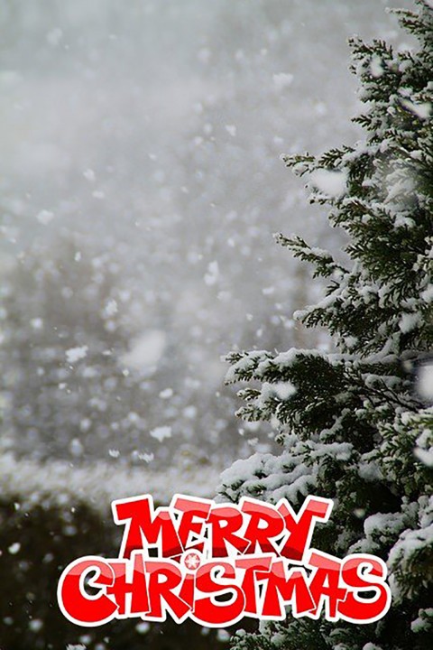 Merry Christmas Winter  CB PicsArt Background