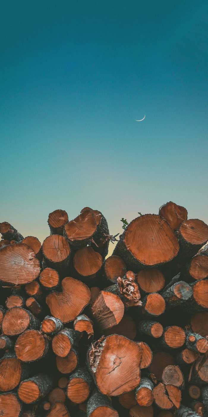 Minimal Tree Wood Texture Rustic Wallpapers Images