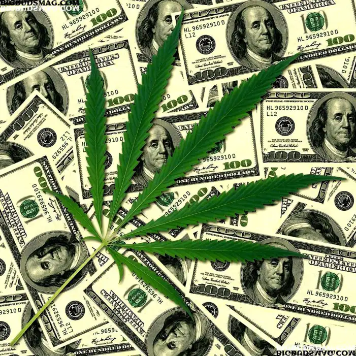 Money With Green Leaf Background Images