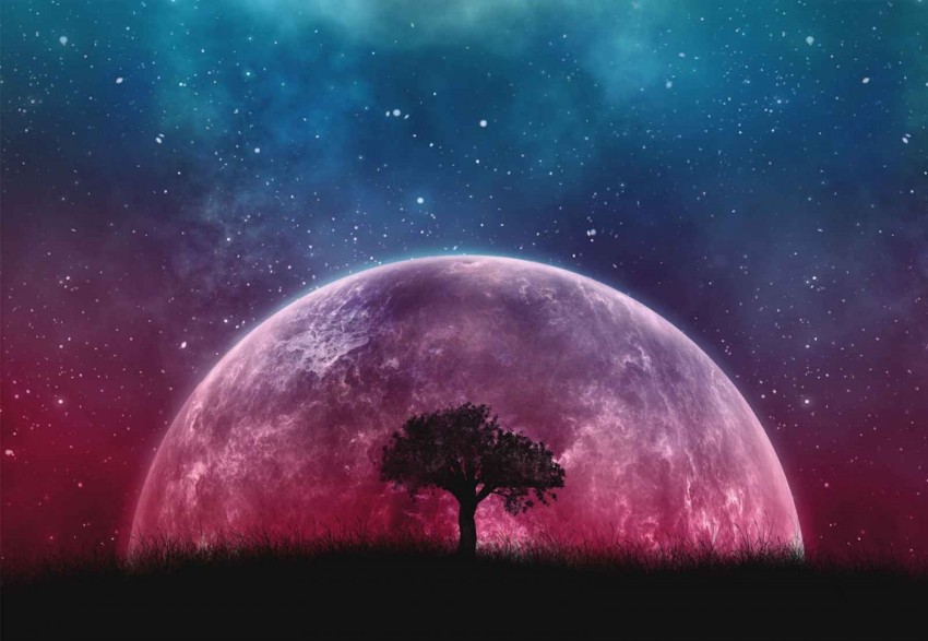 Moon Galaxy Tree Background HD Download