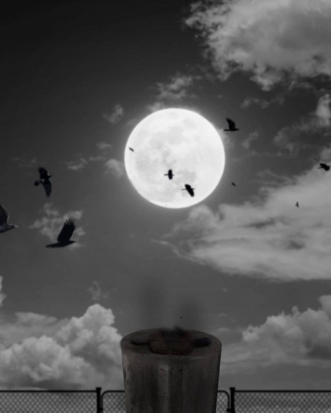 Moon PicsArt CB Editing HD Background