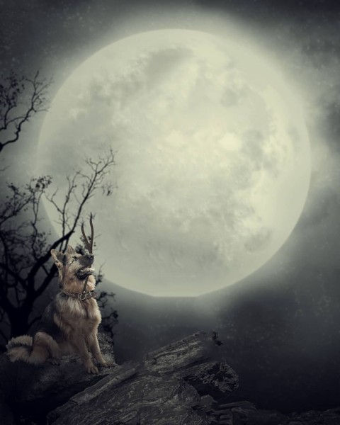 Moon PicsArt Photo Editing Background Full hd (104)