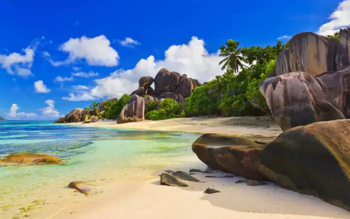 Mountain Beach Ocean Sand Plam Coconut Tree Background