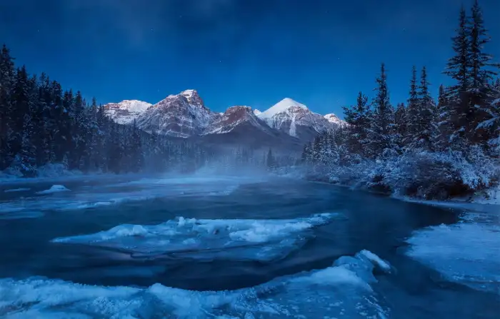 Mountain Blue Sky Winter Forest Background HD Wallpapers