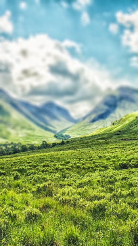 Mountain Field CB Picsart Editing Background HD Download Free