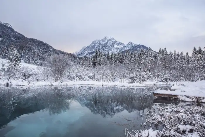 Mountain Lake Winter Forest Background HD Wallpapers