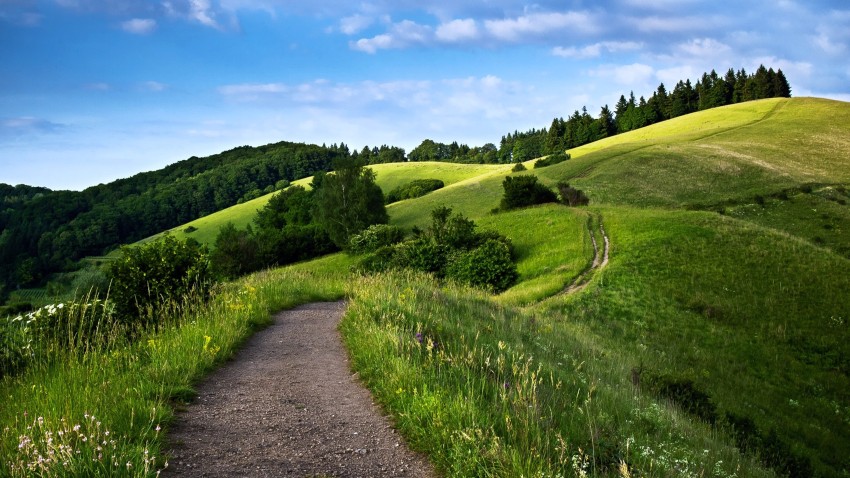 Mountain Sky With Tree Background HD Download Free