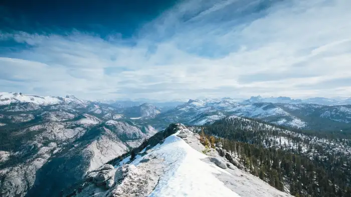 Mountain View Winter Forest Background HD Wallpaper Free