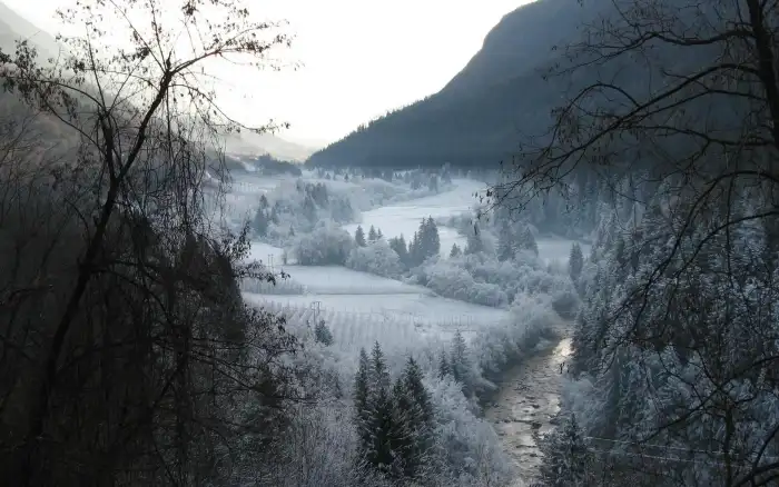 Mountain Winter Forest Background HD Wallpapers Free