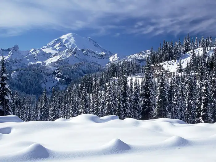 Mountain Winter Forest SKy Background HD Wallpapers