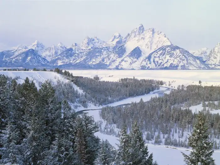 Mountain Winter Forest SKy Background HD Wallpapers