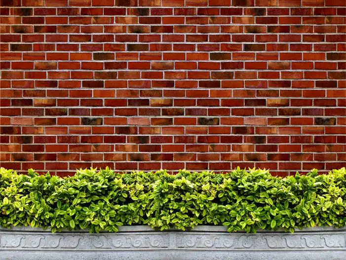 Nature Backdrop Brick Wall Background HD  Images