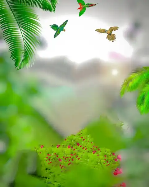 Nature Bird Flying Picsart Background Full HD Download