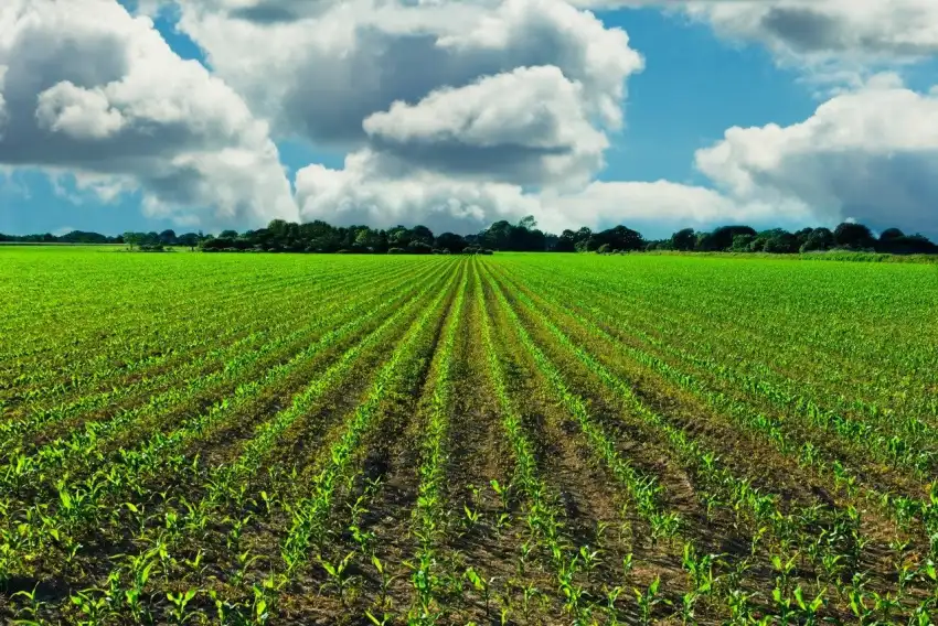 Nature Green Farm Field Background HD Download